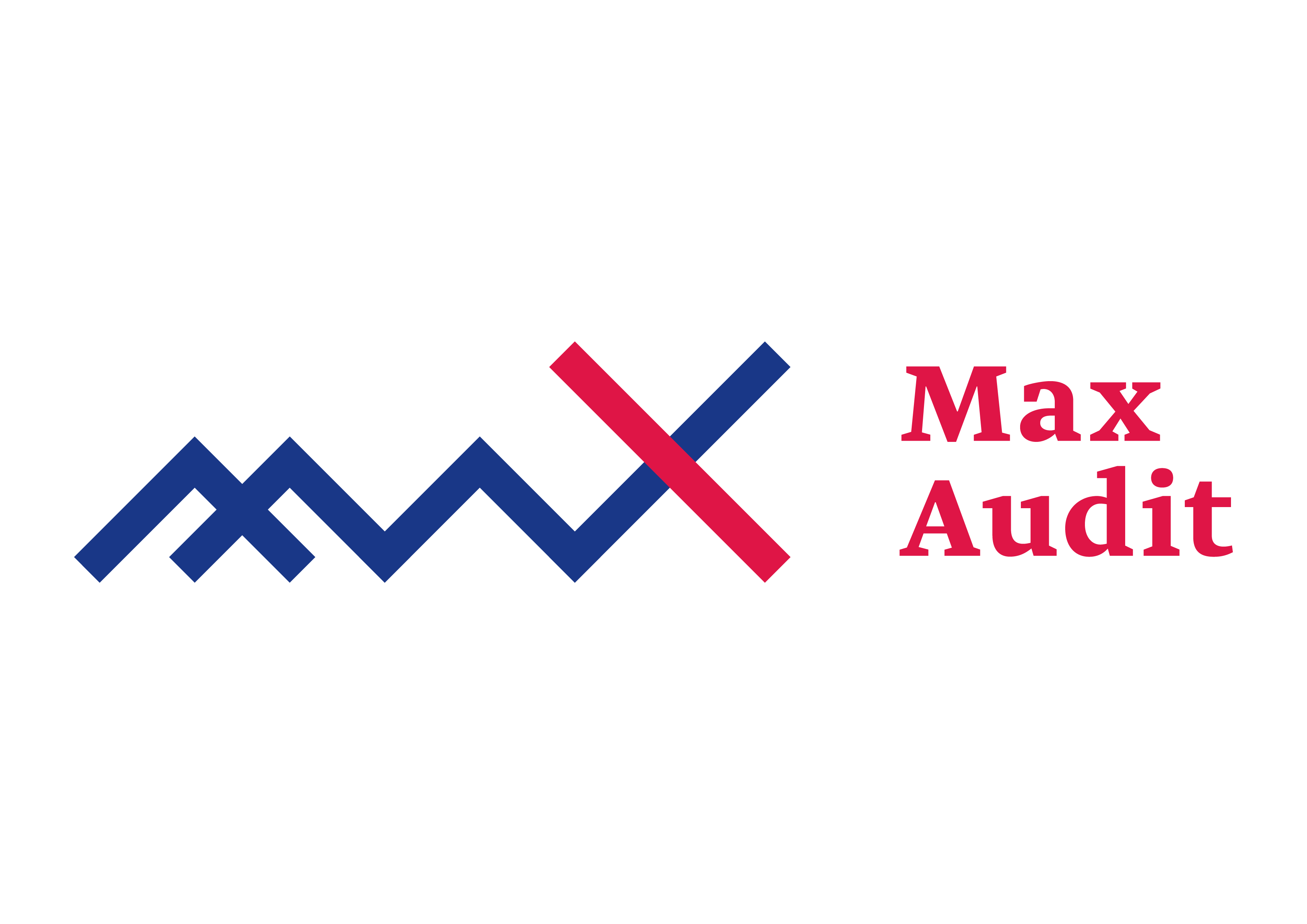 maxaudit.sk